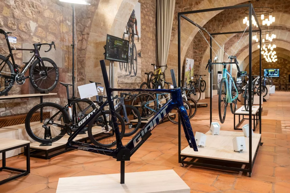 Showroom avec plus de 90 v&eacute;los